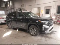 2T3P1RFV6SC494254 2025 TOYOTA RAV 4