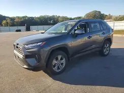 2T3P1RFV6SC495372 2025 TOYOTA RAV 4