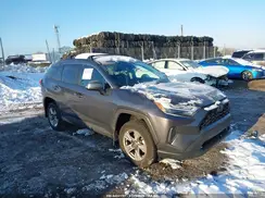 2T3P1RFV6SC505365 2025 TOYOTA RAV 4