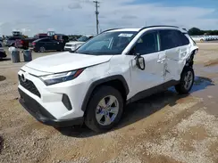 2T3P1RFV6SC513109 2025 TOYOTA RAV 4
