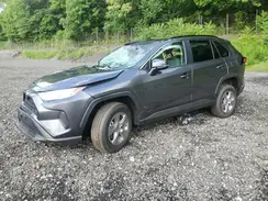 2T3P1RFV6SC536339 2025 TOYOTA RAV 4