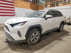 2T3P1RFV6SW521516 2025 TOYOTA RAV 4