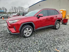 2T3P1RFV6SW524562 2025 TOYOTA RAV 4