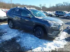 2T3P1RFV6SW602337 2025 TOYOTA RAV 4