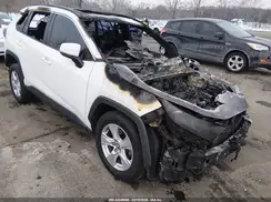 2T3P1RFV7KC004954 2019 TOYOTA RAV 4