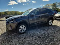 2T3P1RFV7KW036351 2019 TOYOTA RAV 4
