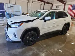 2T3P1RFV7NC316017 2022 TOYOTA RAV 4