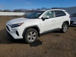 2T3P1RFV7PC341678 2023 TOYOTA RAV 4