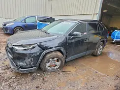 2T3P1RFV7PC368590 2023 TOYOTA RAV 4