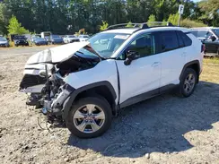 2T3P1RFV7PC379444 2023 TOYOTA RAV 4