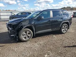 2T3P1RFV7PC385390 2023 TOYOTA RAV 4
