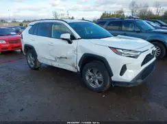 2T3P1RFV7PC389391 2023 TOYOTA RAV 4