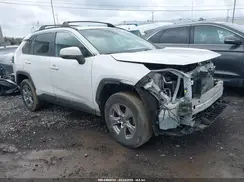 2T3P1RFV7PW361377 2023 TOYOTA RAV 4