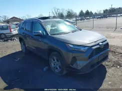 2T3P1RFV7PW369012 2023 TOYOTA RAV 4