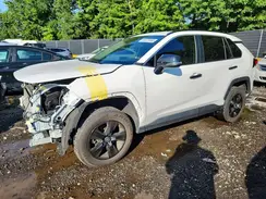 2T3P1RFV7PW392516 2023 TOYOTA RAV 4
