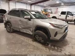 2T3P1RFV7PW398770 2023 TOYOTA RAV 4