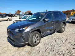 2T3P1RFV7RC401011 2024 TOYOTA RAV 4