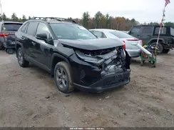2T3P1RFV7RC402546 2024 TOYOTA RAV 4