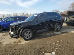2T3P1RFV7RC411361 2024 TOYOTA RAV 4