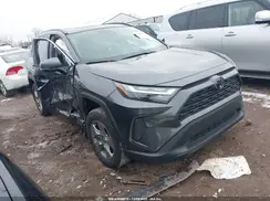 2T3P1RFV7RC461483 2024 TOYOTA RAV 4