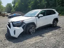 2T3P1RFV7RC481281 2024 TOYOTA RAV 4