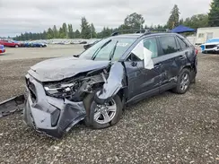 2T3P1RFV7RC483659 2024 TOYOTA RAV 4