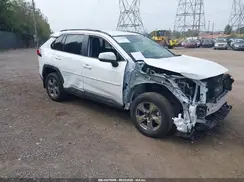 2T3P1RFV7RC489428 2024 TOYOTA RAV 4