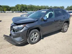 2T3P1RFV7RW438106 2024 TOYOTA RAV 4