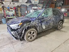 2T3P1RFV7RW456069 2024 TOYOTA RAV 4