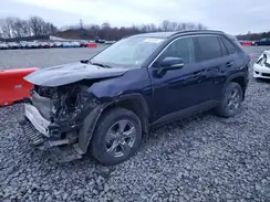 2T3P1RFV7RW461059 2024 TOYOTA RAV 4