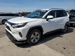 2T3P1RFV7SC494523 2025 TOYOTA RAV 4