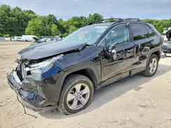 2T3P1RFV7SC506931 2025 TOYOTA RAV 4