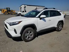 2T3P1RFV7SC531313 2025 TOYOTA RAV 4