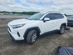 2T3P1RFV7SC569625 2025 TOYOTA RAV 4