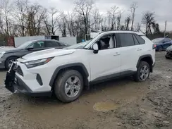 2T3P1RFV7SW598329 2025 TOYOTA RAV 4