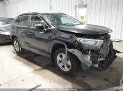 2T3P1RFV8KC022086 2019 TOYOTA RAV 4