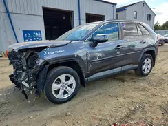 2T3P1RFV8KC026106 2019 TOYOTA RAV 4