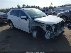 2T3P1RFV8KC042452 2019 TOYOTA RAV 4