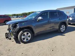 2T3P1RFV8MC153098 2021 TOYOTA RAV 4