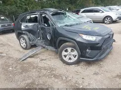 2T3P1RFV8MC186831 2021 TOYOTA RAV 4