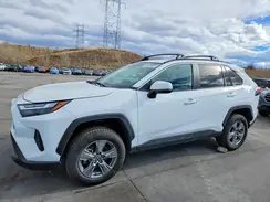 2T3P1RFV8NW309981 2022 TOYOTA RAV 4