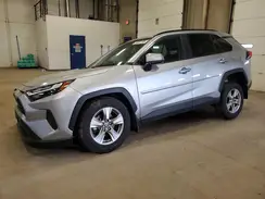 2T3P1RFV8PC334092 2023 TOYOTA RAV 4