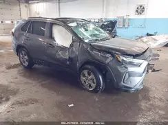 2T3P1RFV8PC344296 2023 TOYOTA RAV 4