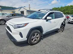 2T3P1RFV8PC353287 2023 TOYOTA RAV 4