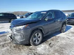 2T3P1RFV8PC375189 2023 TOYOTA RAV 4