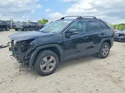 2T3P1RFV8PC389500 2023 TOYOTA RAV 4