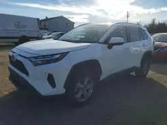 2T3P1RFV8PW331000 2023 TOYOTA RAV 4