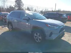 2T3P1RFV8PW350646 2023 TOYOTA RAV 4