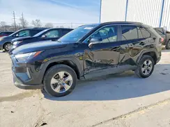 2T3P1RFV8PW370427 2023 TOYOTA RAV 4