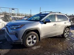 2T3P1RFV8PW379712 2023 TOYOTA RAV 4